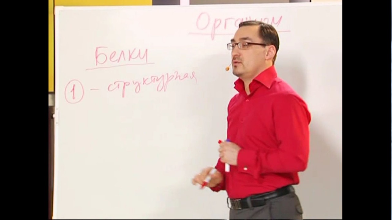 Белки как основа жизни.